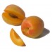 Априум (Плумкот, Плуот — гибрид абрикоса и сливы)